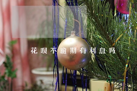 花呗不逾期有利息吗 花呗不逾期有利息吗