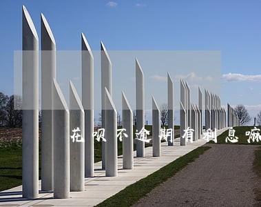 花呗不逾期有利息嘛 花呗不逾期有利息嘛