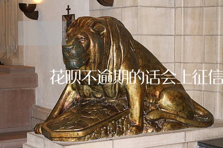 花呗不逾期的话会上征信么 花呗不逾期的话会上征信么