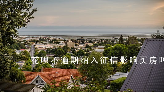 花呗不逾期纳入征信影响买房吗