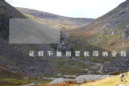 花呗不逾期要收滞纳金吗 花呗不逾期要收滞纳金吗
