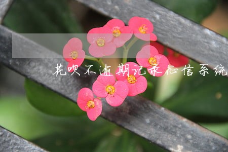 花呗不逾期记录征信系统吗 花呗不逾期记录征信系统吗