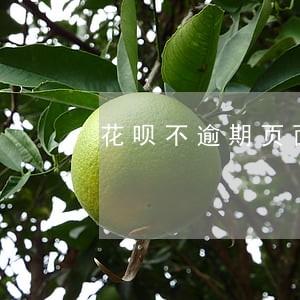 花呗不逾期页面显示红色 花呗不逾期页面显示红色