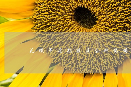 花呗不逾期额度会降低吗 花呗不逾期额度会降低吗