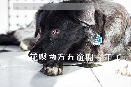 花呗两万五逾期一年了