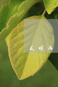 花呗两万逾期三天多少钱 花呗两万逾期三天多少钱