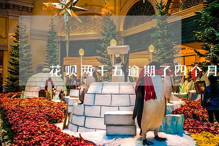 花呗两千五逾期了四个月