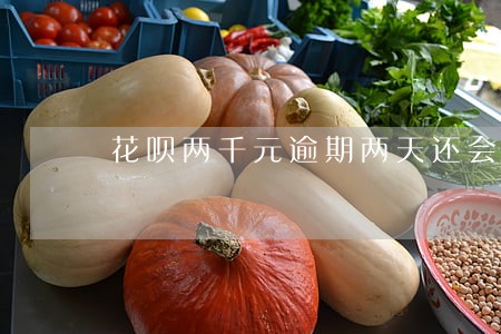 花呗两千元逾期两天还会怎样 花呗两千元逾期两天还会怎样