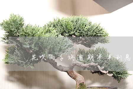 花呗两千块逾期半年利息