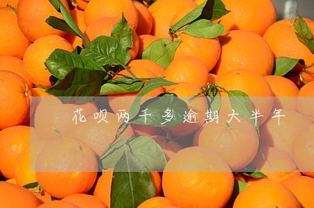 花呗两千多逾期大半年 花呗两千多逾期大半年