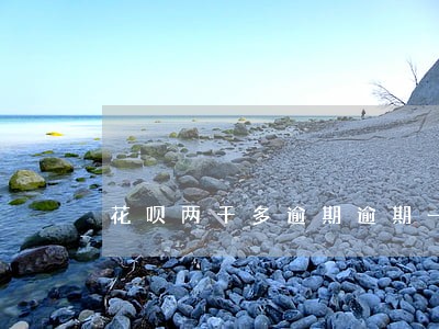 花呗两千多逾期逾期一年了