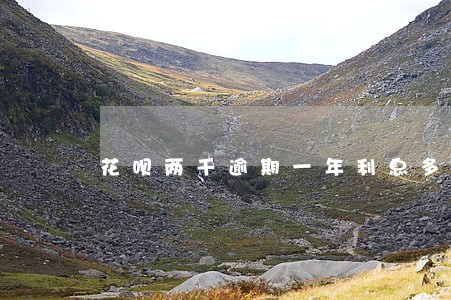 花呗两千逾期一年利息多少 花呗两千逾期一年利息多少