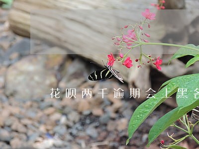花呗两千逾期会上黑名单吗