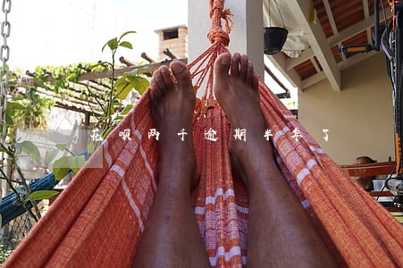 花呗两千逾期半年了 花呗两千逾期半年了