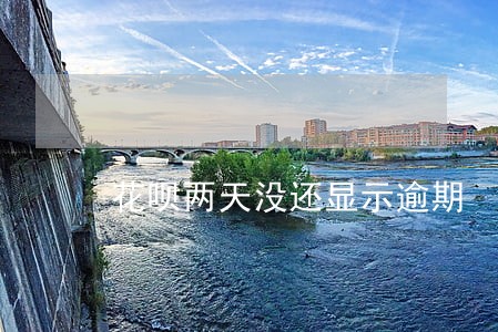花呗两天没还显示逾期