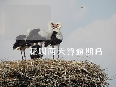 花呗两天算逾期吗 花呗两天算逾期吗