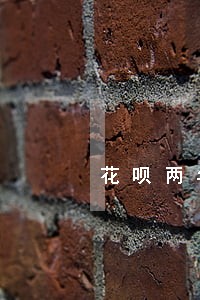 花呗两年前逾期影响房贷吗