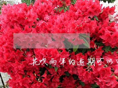 花呗两年的逾期可以申诉吗