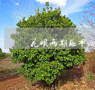 花呗两期账单逾期 花呗两期账单逾期