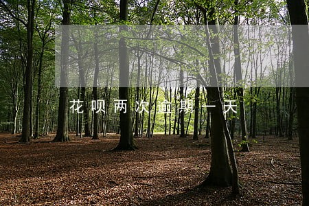 花呗两次逾期一天 花呗两次逾期一天