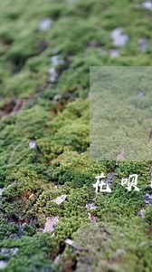 花呗两次逾期扣了一百多分 花呗两次逾期扣了一百多分