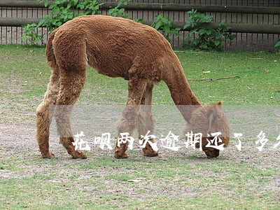 花呗两次逾期还了多久能用呢 花呗两次逾期还了多久能用呢