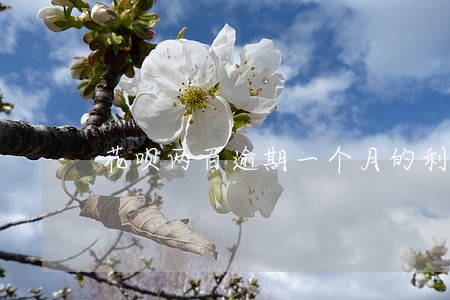 花呗两百逾期一个月的利息 花呗两百逾期一个月的利息