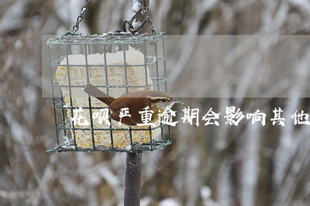 花呗严重逾期会影响其他银行卡 花呗严重逾期会影响其他银行卡