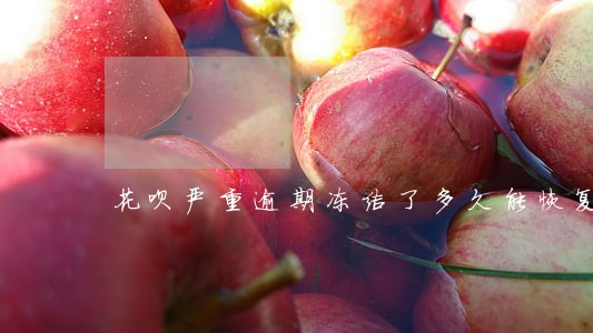 花呗严重逾期冻结了多久能恢复 花呗严重逾期冻结了多久能恢复
