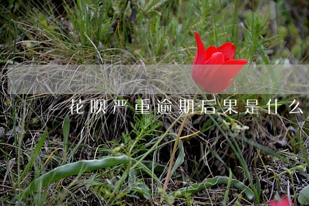 花呗严重逾期后果是什么 花呗严重逾期后果是什么