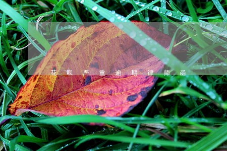 花呗严重逾期律师函 花呗严重逾期律师函