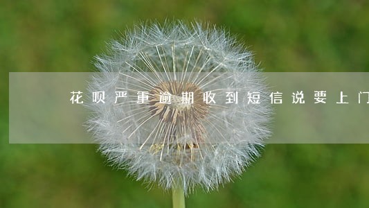 花呗严重逾期收到短信说要上门