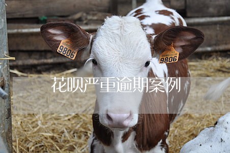 花呗严重逾期案例 花呗严重逾期案例