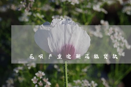 花呗严重逾期还能贷款 花呗严重逾期还能贷款