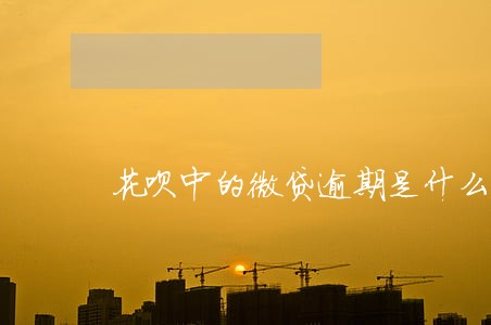 花呗中的微贷逾期是什么意思 花呗中的微贷逾期是什么意思