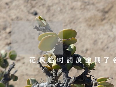 花呗临时额度逾期了会怎么样吗 花呗临时额度逾期了会怎么样吗