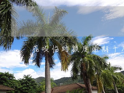 花呗临时额度逾期十几分钟 花呗临时额度逾期十几分钟