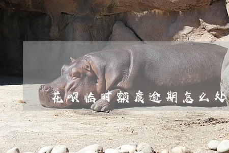花呗临时额度逾期怎么处理