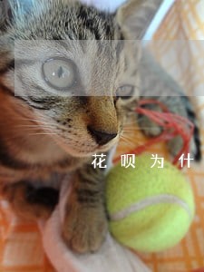 花呗为什么降低额度没逾期