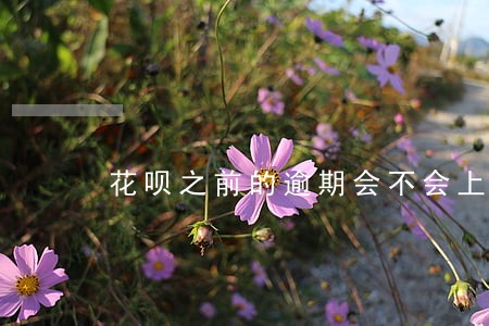 花呗之前的逾期会不会上征信 花呗之前的逾期会不会上征信