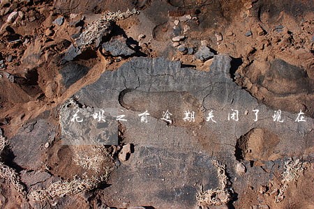 花呗之前逾期关闭了现在怎么开 花呗之前逾期关闭了现在怎么开