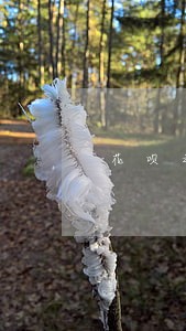 花呗之前逾期的情况在哪看 花呗之前逾期的情况在哪看