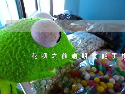 花呗之前逾期过能手机分期吗 花呗之前逾期过能手机分期吗