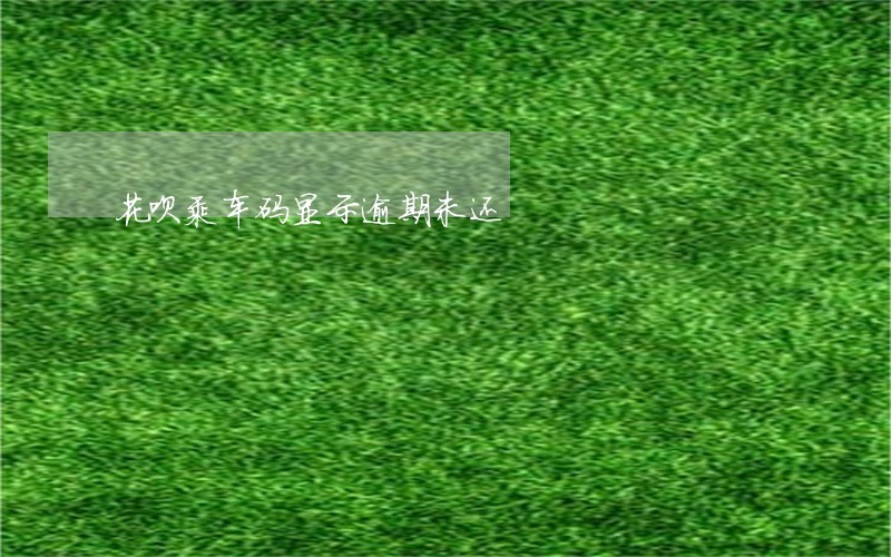 花呗乘车码显示逾期未还 花呗乘车码显示逾期未还