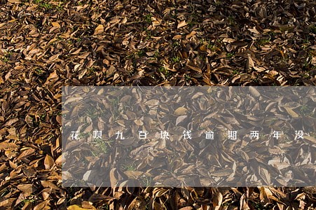花呗九百块钱逾期两年没还 花呗九百块钱逾期两年没还