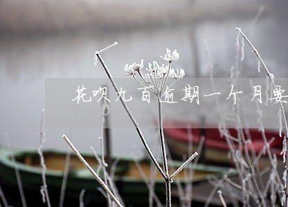 花呗九百逾期一个月要还多少 花呗九百逾期一个月要还多少