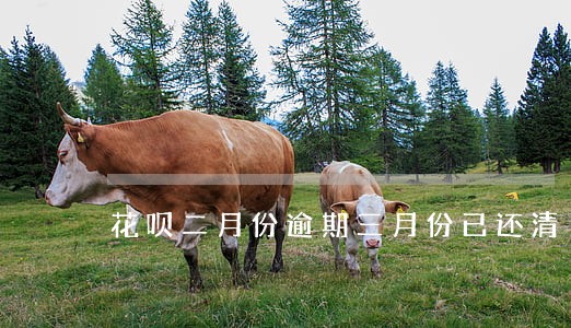 花呗二月份逾期三月份已还清 花呗二月份逾期三月份已还清