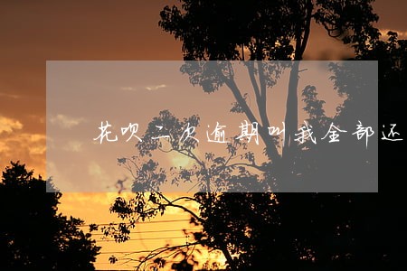 花呗二次逾期叫我全部还清 花呗二次逾期叫我全部还清