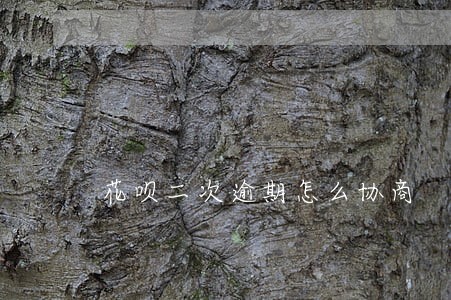 花呗二次逾期怎么协商 花呗二次逾期怎么协商