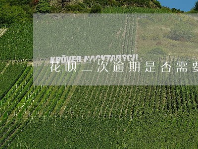 花呗二次逾期是否需要一次还清